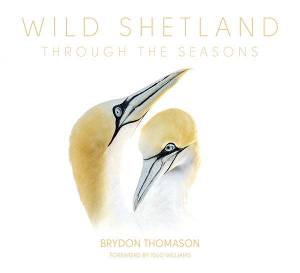 Wild Shetland Through the Seasons