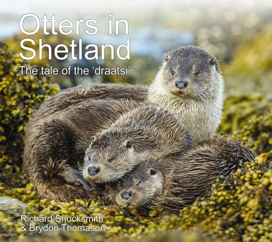 Otters in Shetland - The tale of the "draatsi"