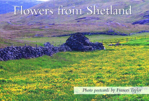 Flowers from Shetland
