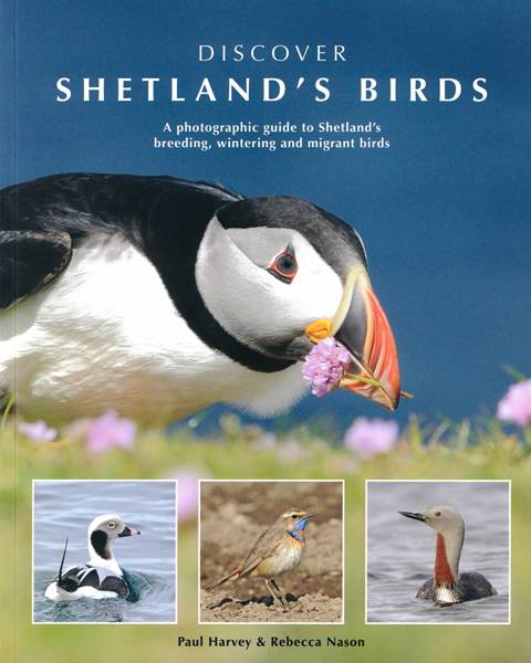 Discover Shetland's Birds Paperback