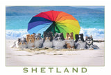 Shetland Collies and Klee Kai set of postcards