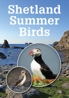 Shetland Summer Birds